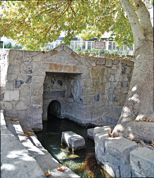 مُلکی که مَلِک سبز کرد مُلکی که مَلِک سبز کرد