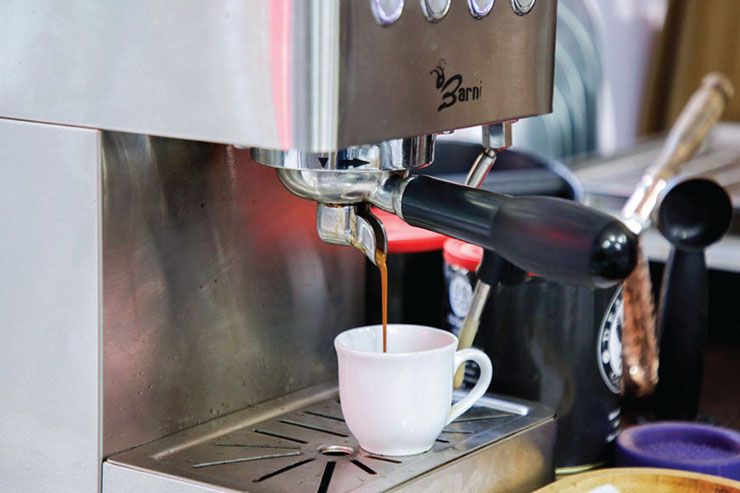 پایه روبوستا یا عربیکا؟