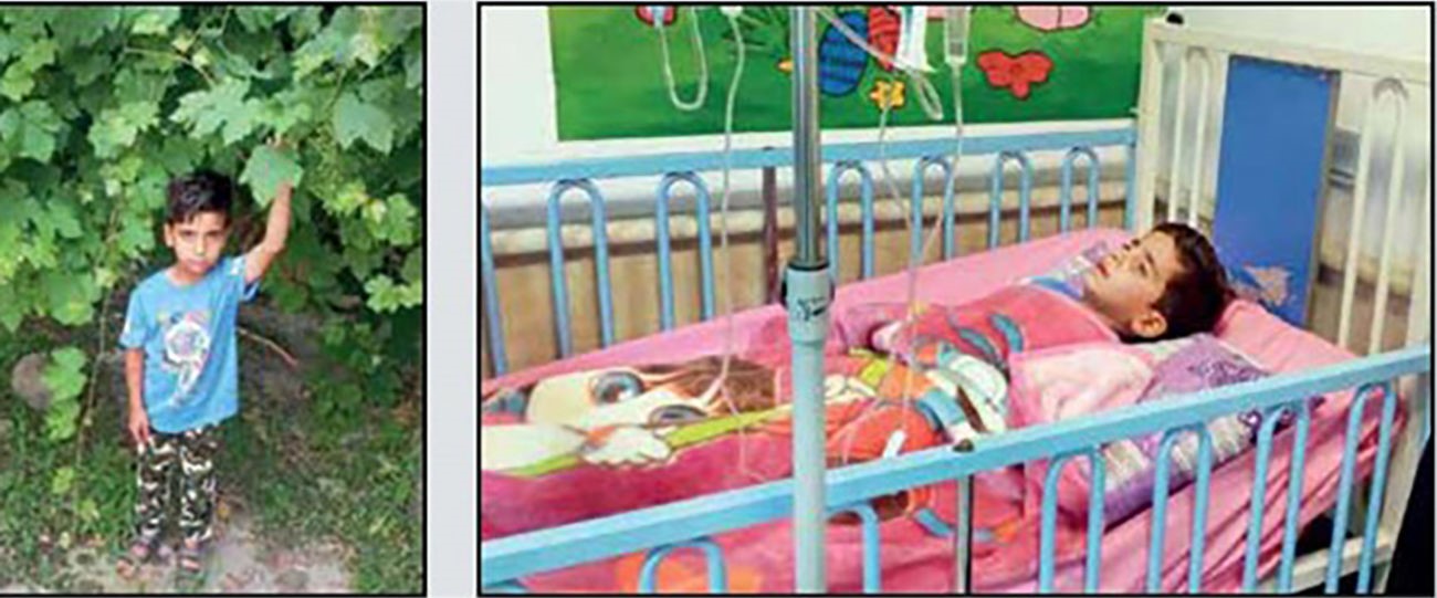 ماجرای گم شدن محمدطاها در جنگلهای رامیان از زبان پدرش + عکس ماجرای گم شدن محمدطاها در جنگلهای رامیان از زبان پدرش + عکس