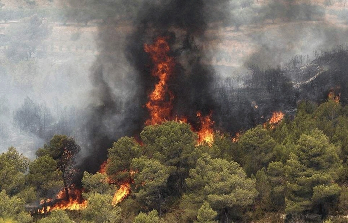 آتش&zwnj;سوزی در جنگل&zwnj;های ایران | رشته کوه&zwnj;های زاگرس به خاکستر نشسته است
