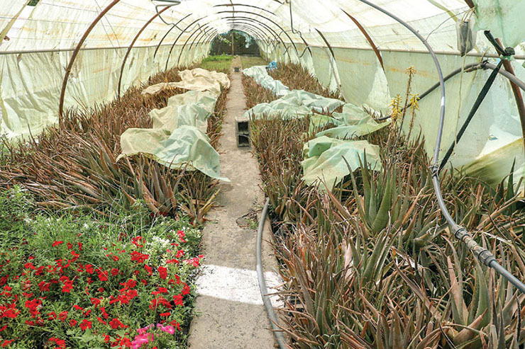 برداشت برکت و سلامت