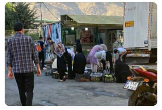 درباره تصویرپرحاشیه بازار میوه و ترهبار قیطریه تهران درباره تصویرپرحاشیه بازار میوه و ترهبار قیطریه تهران