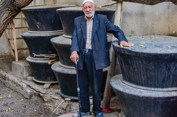 یورتمه اسب‌ها در صحن «بنفشه»