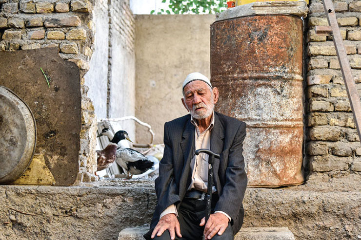 یورتمه اسب‌ها در صحن «بنفشه»