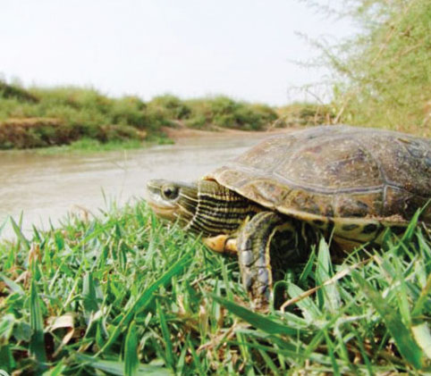 ۸۰۰ هزار سال کشفرود ۸۰۰ هزار سال کشفرود