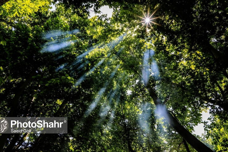 امروز برق کدام مناطق مشهد قطع می‌شود؟ (سه‌شنبه ۴ خرداد ۱۴۰۰)