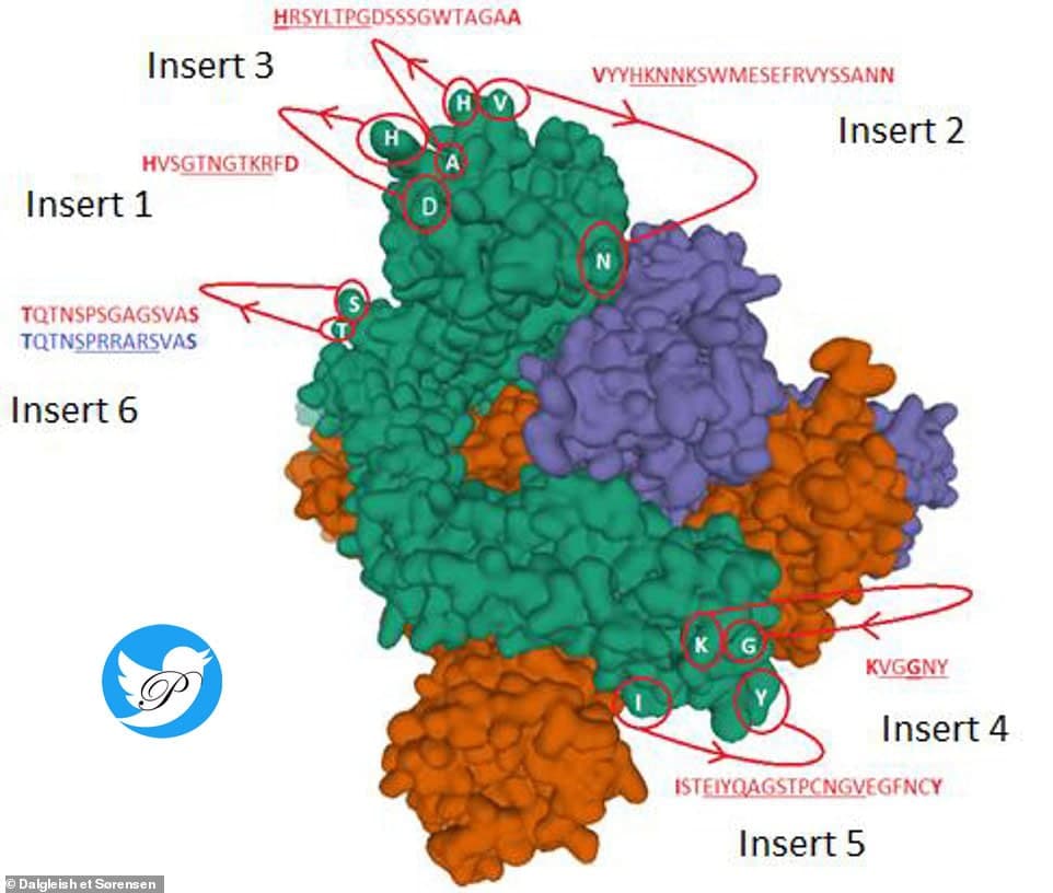 ساخت ویروس کرونا توسط محققان چینی در لابراتوار! ساخت ویروس کرونا توسط محققان چینی در لابراتوار!