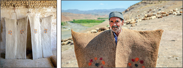 سرغایه؛ سرمایه نمد مالی خراسان