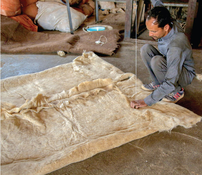 سرغایه؛ سرمایه نمد مالی خراسان