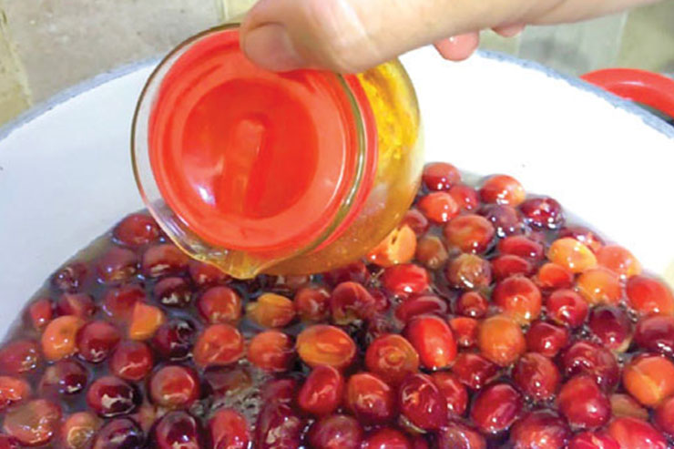 مربای گیلاس