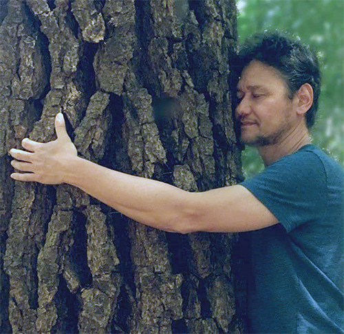 جنگل درمانی جنگل درمانی