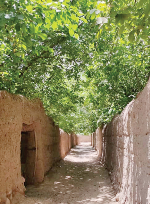 کاهگل کشیدن روی دیوار سیمانی کاهگل کشیدن روی دیوار سیمانی