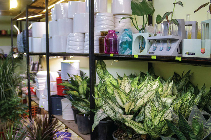 با یک گل بهار نمی‌شود