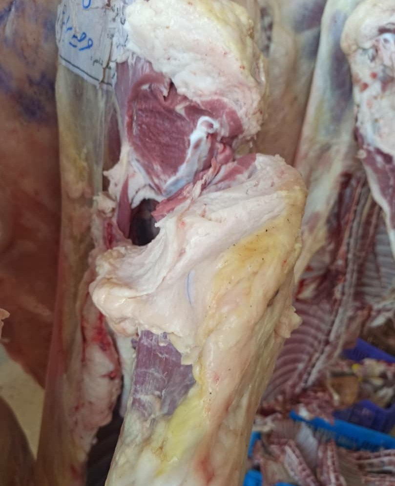 ماجرای توزیع گوشت های فاسد در مشهد + عکس و فیلم