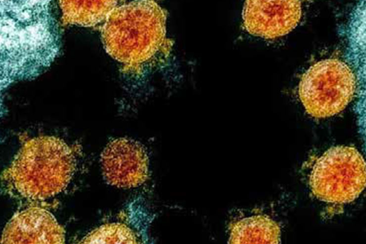 کارت&zwnj;پستال&zwnj;هایی ضدعفونی&zwnj;شده از لندن!