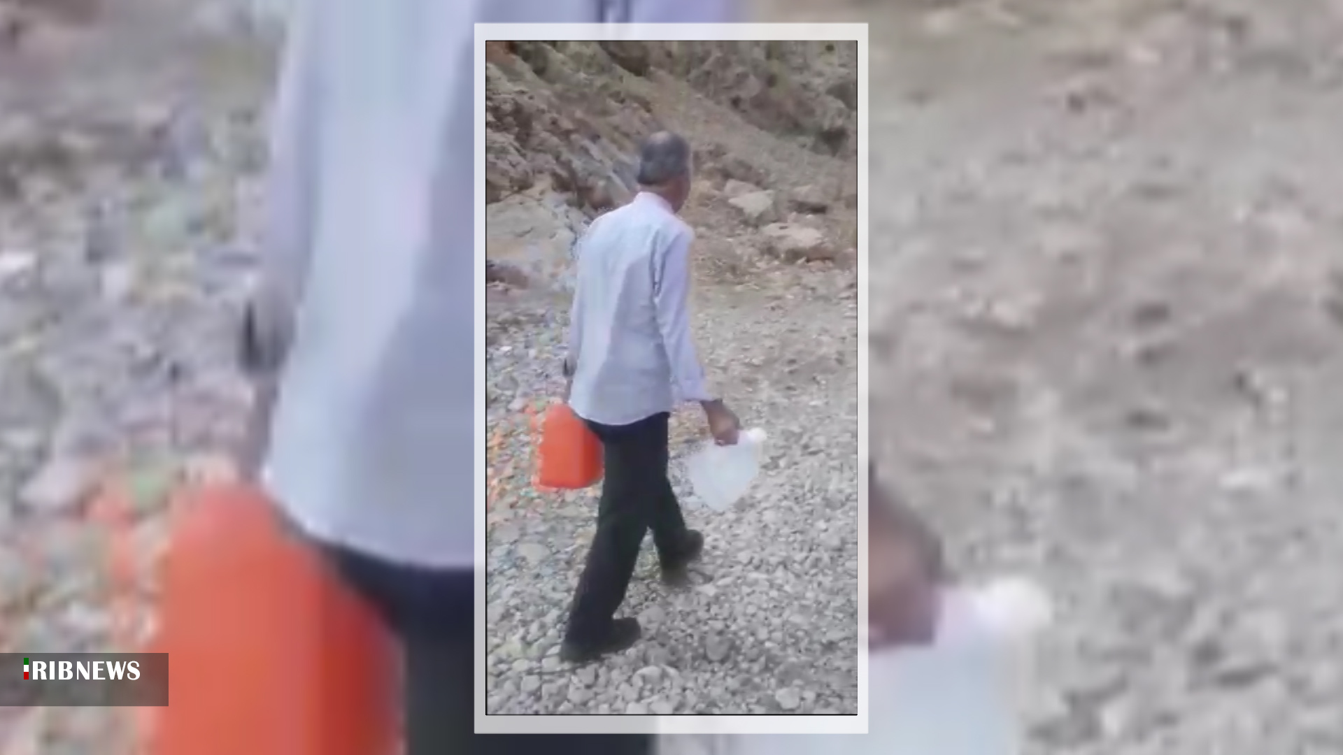 آب دادن به یک روباه تشنه در لردگان + فیلم آب دادن به یک روباه تشنه در لردگان + فیلم