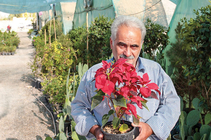 گفتگو با یکی از گلخانه‌داران بزرگ قرقی | کیمیاگری از خاک شروع شد