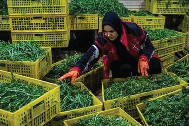 این رنج از آن من نیست