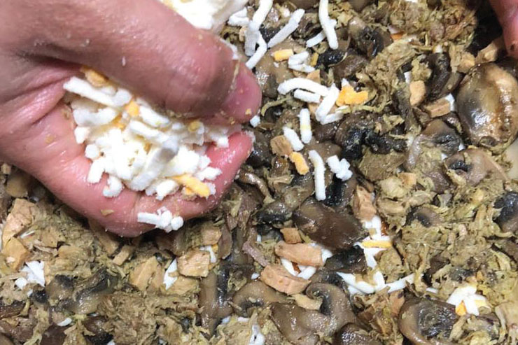 پیتزای گوشت و قارچ