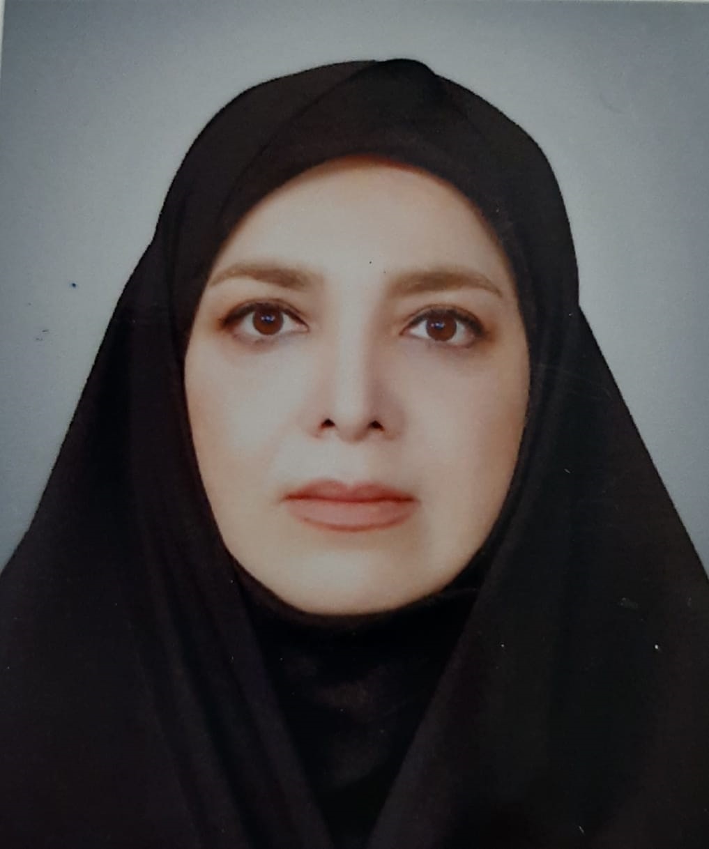 بانوان فعال عرصه رسانه از وضعیت کاری و دغدغه‌هایشان برای رفع مشکلات شهری می‌گویند