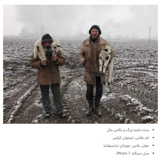 برندگان جوایز عکاسی آیفون ۲۰۲۱ + عکس برندگان جوایز عکاسی آیفون ۲۰۲۱ + عکس