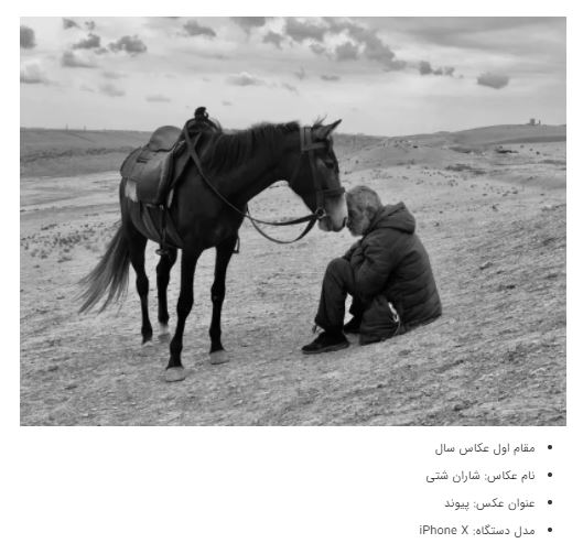 برندگان جوایز عکاسی آیفون ۲۰۲۱ + عکس برندگان جوایز عکاسی آیفون ۲۰۲۱ + عکس
