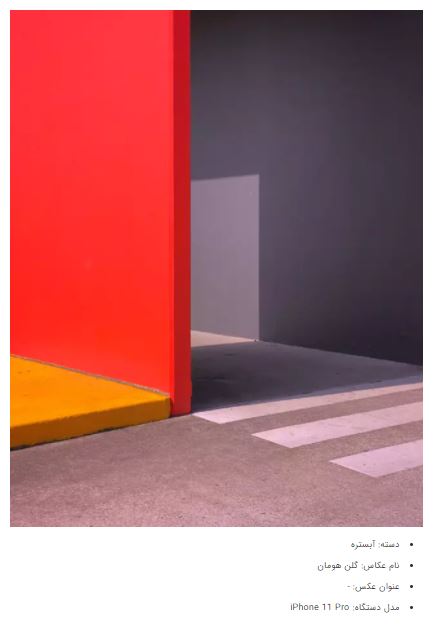 برندگان جوایز عکاسی آیفون ۲۰۲۱ + عکس برندگان جوایز عکاسی آیفون ۲۰۲۱ + عکس