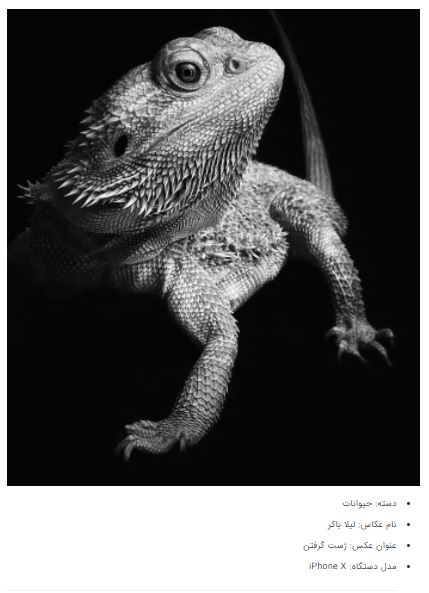 برندگان جوایز عکاسی آیفون ۲۰۲۱ + عکس برندگان جوایز عکاسی آیفون ۲۰۲۱ + عکس