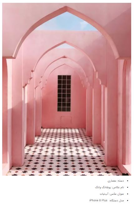 برندگان جوایز عکاسی آیفون ۲۰۲۱ + عکس برندگان جوایز عکاسی آیفون ۲۰۲۱ + عکس