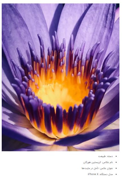 برندگان جوایز عکاسی آیفون ۲۰۲۱ + عکس برندگان جوایز عکاسی آیفون ۲۰۲۱ + عکس