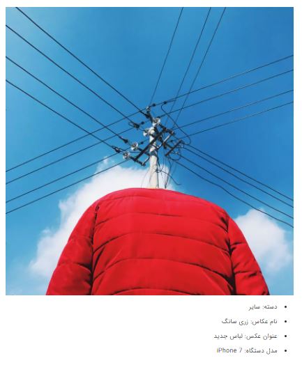 برندگان جوایز عکاسی آیفون ۲۰۲۱ + عکس برندگان جوایز عکاسی آیفون ۲۰۲۱ + عکس