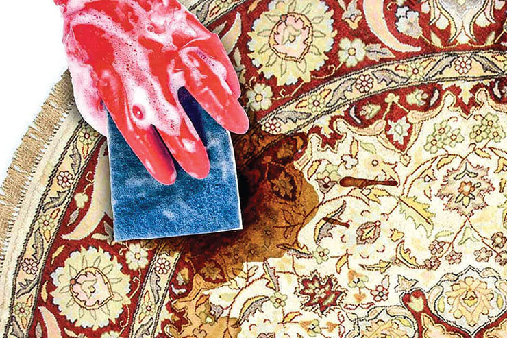 تمیزی و پاکیزگی یکی از خصلت‌هایی است که از ابتدای بشریت تاکنون در وجود انسان نمایان بوده است، در این بین قطعا تمیز بودن خانه و محل زندگی جزء مواردی است که باید به آن اهمیت ویژه‌ای داده شود.