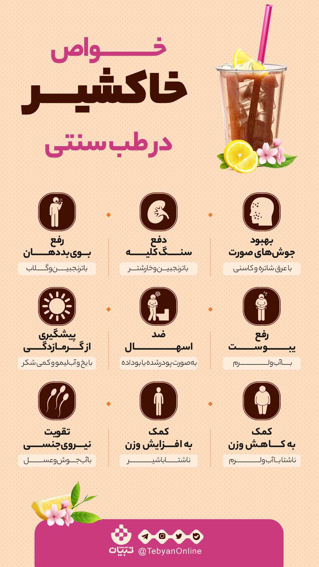 اینفوگرافی |  خواص خاکشیر در طب سنتی