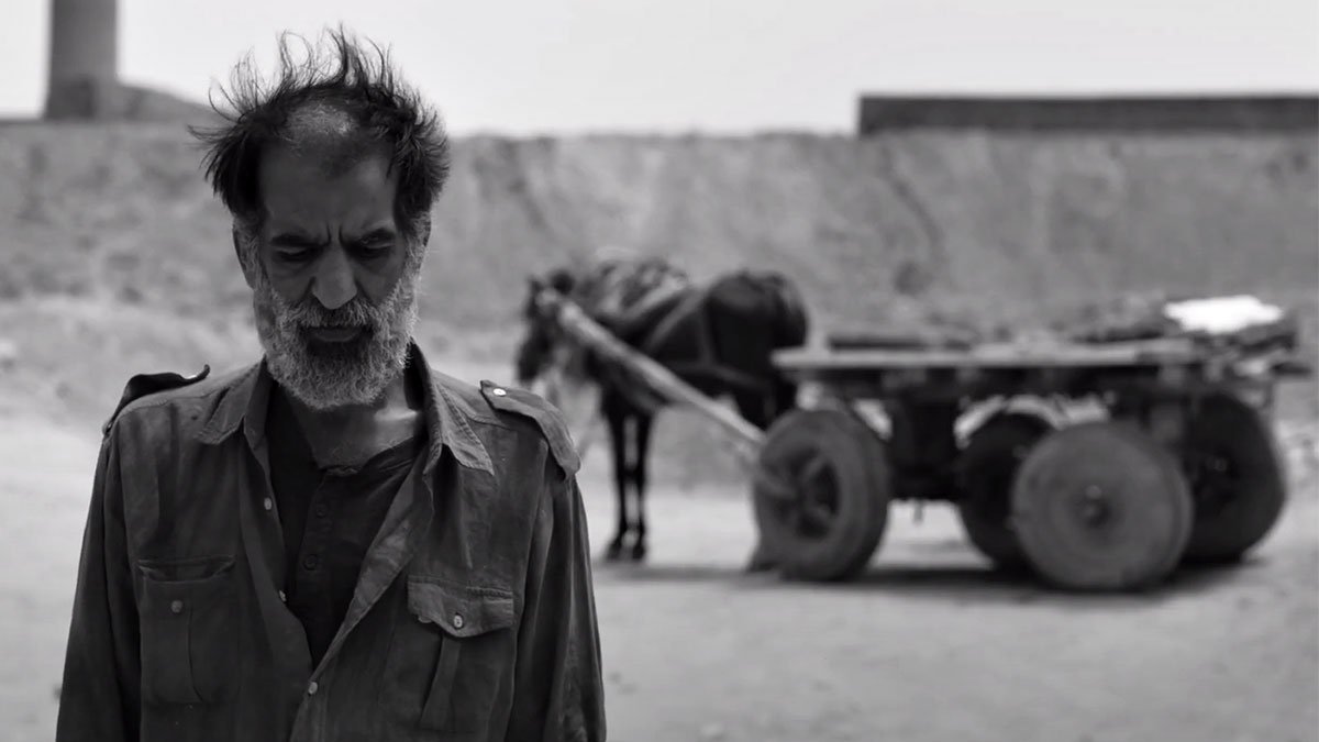 «دشت خاموش»، برنده جایزه بهترین فیلمبرداری سال آسیا «دشت خاموش»، برنده جایزه بهترین فیلمبرداری سال آسیا