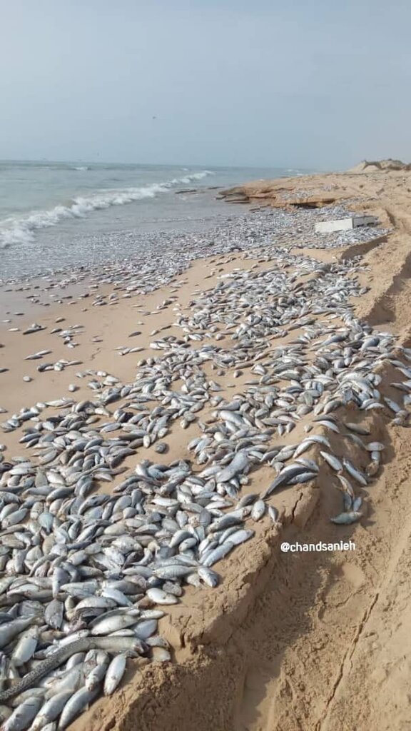 طوفان «شاهین» چه خسارت هایی برجای گذاشت؟ + تصاویر طوفان «شاهین» چه خسارت هایی برجای گذاشت؟ + تصاویر
