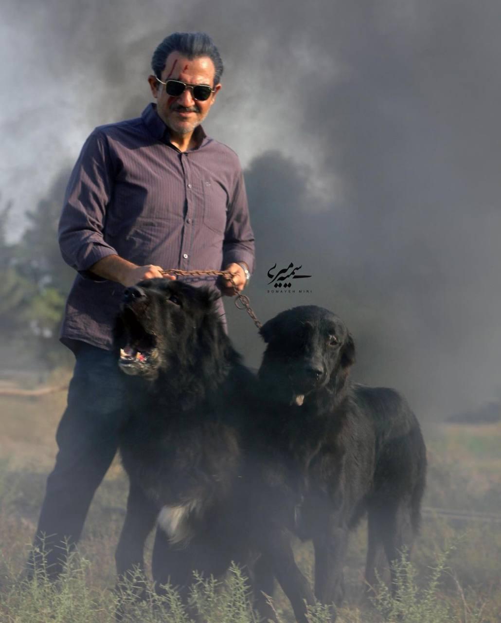 رونمایی از اولین پوستر سریال «نیسان آبی» منوچهر هادی + تیزر