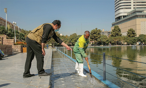 پزشک گل و گیاه پزشک گل و گیاه