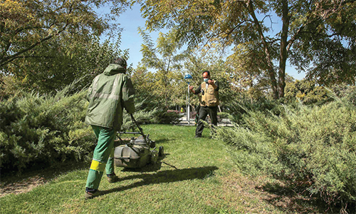 پزشک گل و گیاه پزشک گل و گیاه