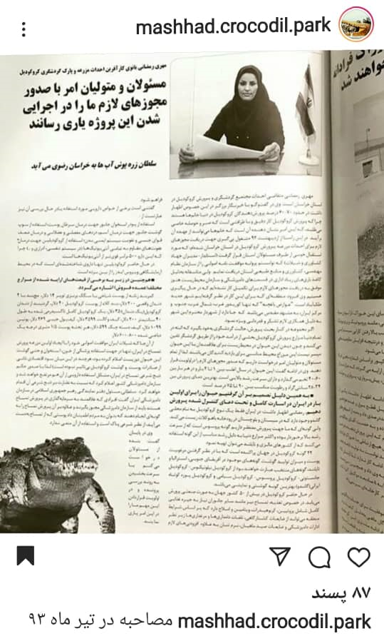 پارک کروکودیل مشهد کجاست؟ | ماجرای متناقض راه&zwnj;اندازی مزرعه کروکودیل در مشهد + فیلم و عکس