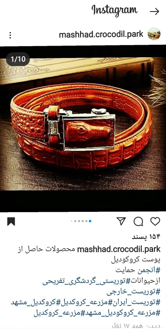 پارک کروکودیل مشهد کجاست؟ | ماجرای متناقض راه&zwnj;اندازی مزرعه کروکودیل در مشهد + فیلم و عکس