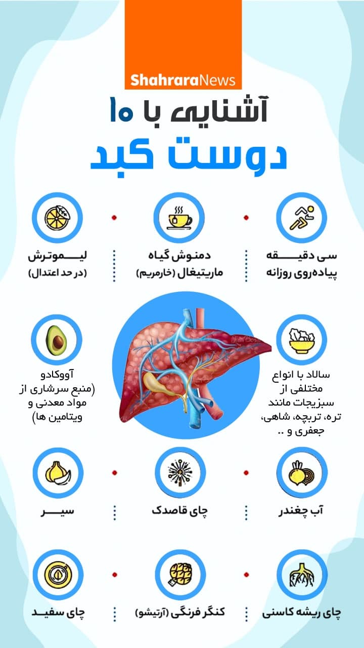 اینفوگرافی | آشنایی به ۱۰ دوست کبد