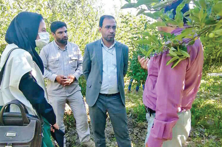 به وقت اشتغال زایی به وقت اشتغال زایی
