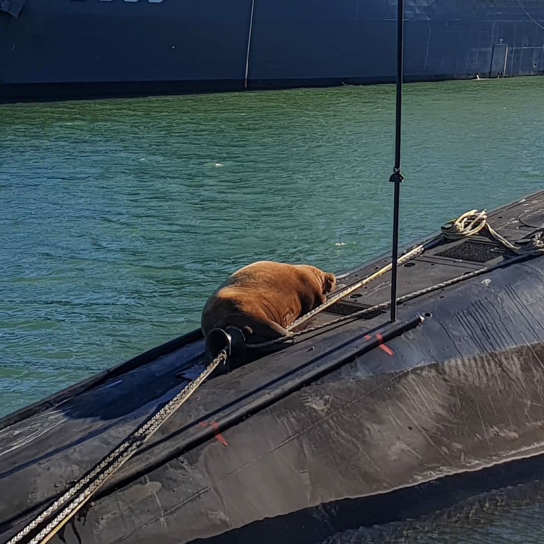 نشست گلاسکو و بحران‌های محیط زیستی که زمین را تهدید می‌­کند + عکس