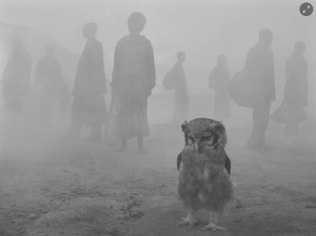 نشست گلاسکو و بحران‌های محیط زیستی که زمین را تهدید می‌­کند + عکس