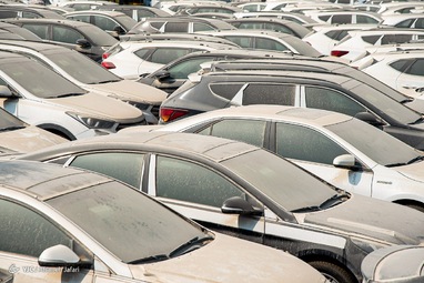 دپو خودرو‌های لوکس توقیفی در گمرک بوشهر + تصاویر