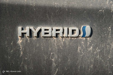 دپو خودرو‌های لوکس توقیفی در گمرک بوشهر + تصاویر