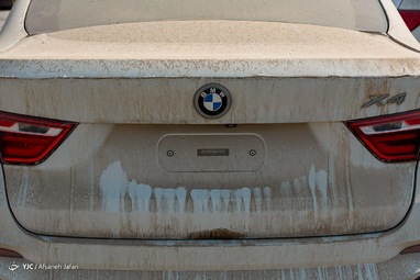 دپو خودرو‌های لوکس توقیفی در گمرک بوشهر + تصاویر