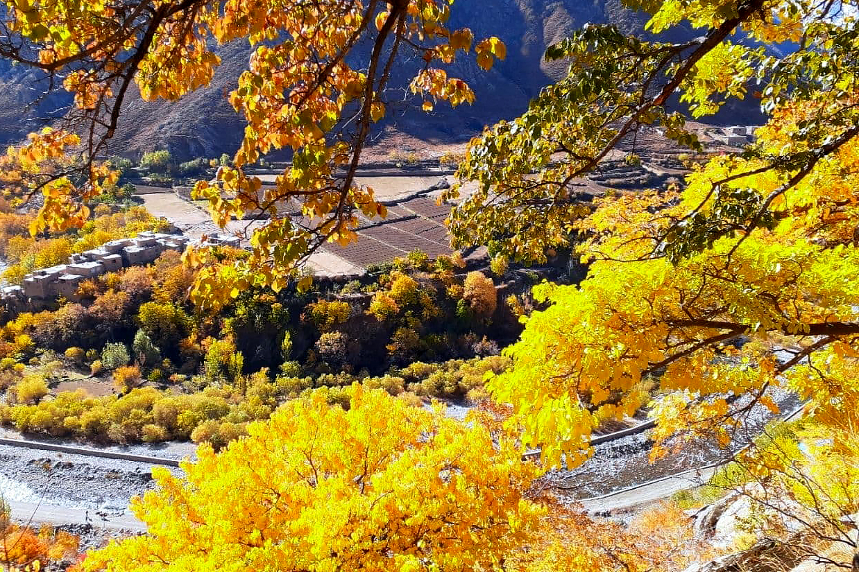 طبیعت پائیزی پنجشیر