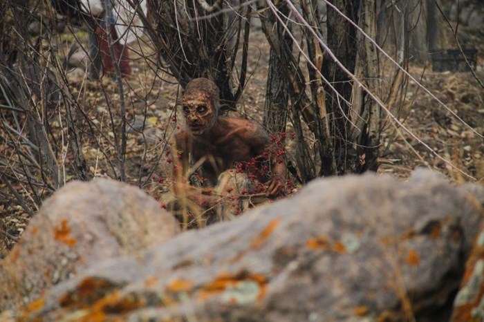 نگاهی به فیلم «پوست» | یا چطور با یک منشور، شیشه طلسم سینمای ایران را بشکنیم؟ نگاهی به فیلم «پوست» | یا چطور با یک منشور، شیشه طلسم سینمای ایران را بشکنیم؟