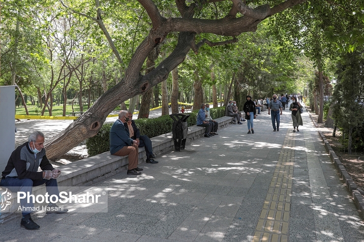 کمیسیون اقتصادی مجلس: منابع همسان‌سازی حقوق بازنشستگان کاملا قابل تأمین است